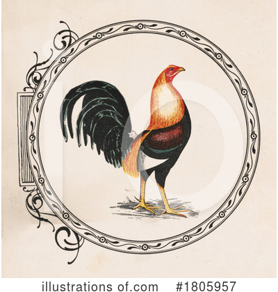 Rooster Clipart #1805957 by JVPD