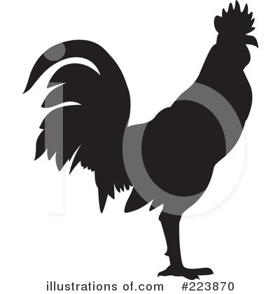 Rooster Clipart #223870 by dero