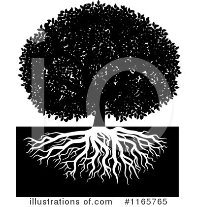 Roots Clipart #1165765 by Vector Tradition SM