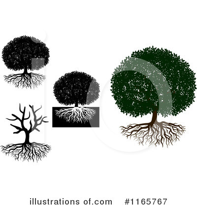 Roots Clipart #1165767 by Vector Tradition SM