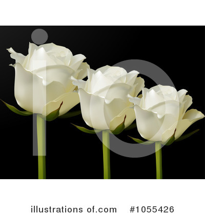 Ivory Rose Clipart #1055426 by elaineitalia