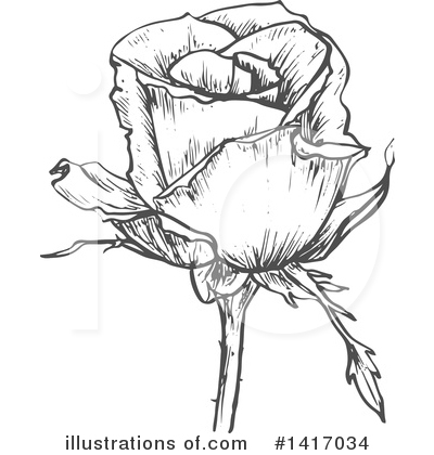 Royalty-Free (RF) Rose Clipart Illustration by Vector Tradition SM - Stock Sample #1417034