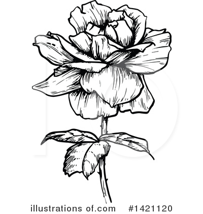 Royalty-Free (RF) Rose Clipart Illustration by Vector Tradition SM - Stock Sample #1421120