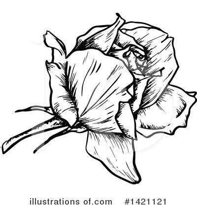 Royalty-Free (RF) Rose Clipart Illustration by Vector Tradition SM - Stock Sample #1421121