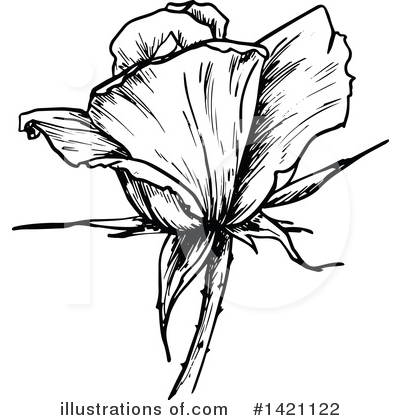 Royalty-Free (RF) Rose Clipart Illustration by Vector Tradition SM - Stock Sample #1421122