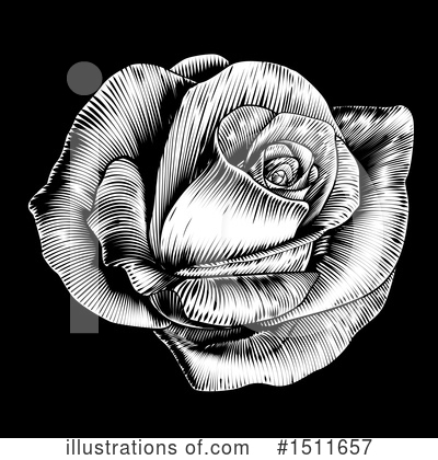 Royalty-Free (RF) Rose Clipart Illustration by AtStockIllustration - Stock Sample #1511657