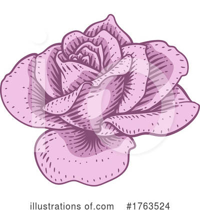 Rose Clipart #1763524 by AtStockIllustration