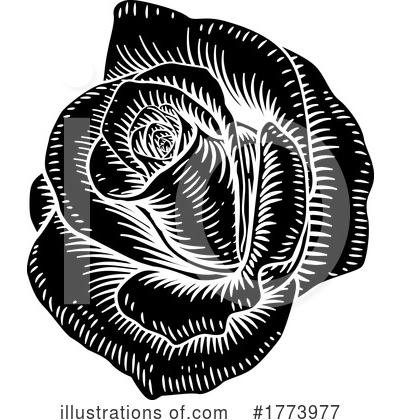 Royalty-Free (RF) Rose Clipart Illustration by AtStockIllustration - Stock Sample #1773977