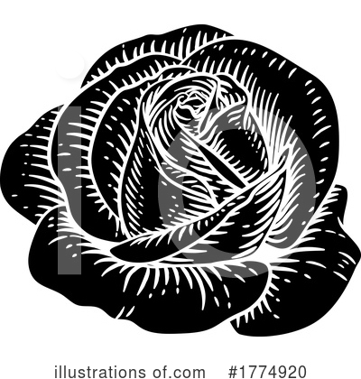 Royalty-Free (RF) Rose Clipart Illustration by AtStockIllustration - Stock Sample #1774920