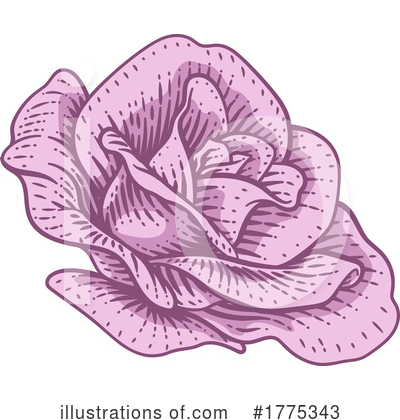 Royalty-Free (RF) Rose Clipart Illustration by AtStockIllustration - Stock Sample #1775343