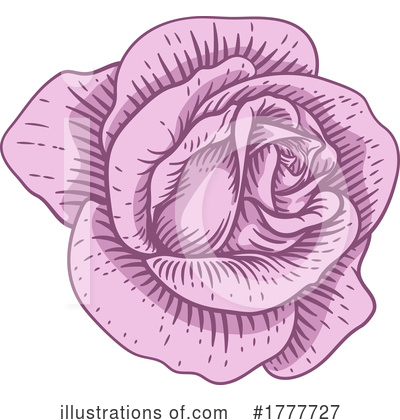 Royalty-Free (RF) Rose Clipart Illustration by AtStockIllustration - Stock Sample #1777727