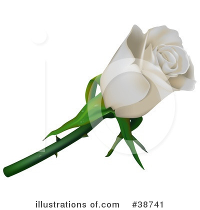 Roses Clipart #38741 by dero