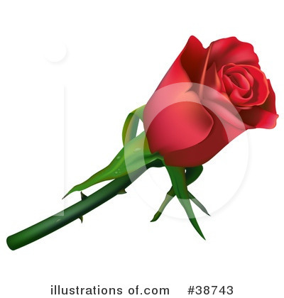 Royalty-Free (RF) Rose Clipart Illustration by dero - Stock Sample #38743