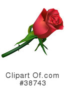 Rose Clipart #38743 by dero