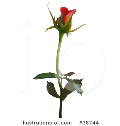 Roses Clipart #38744 by dero