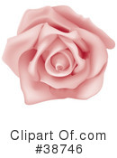 Rose Clipart #38746 by dero