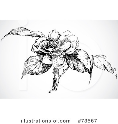 Royalty-Free (RF) Rose Clipart Illustration by BestVector - Stock Sample #73567