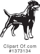 Rottweiler Clipart #1373134 by David Rey