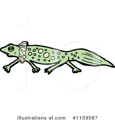 Salamander Clipart #1159587 by lineartestpilot