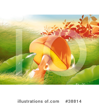 Plants Clipart #38814 by dero