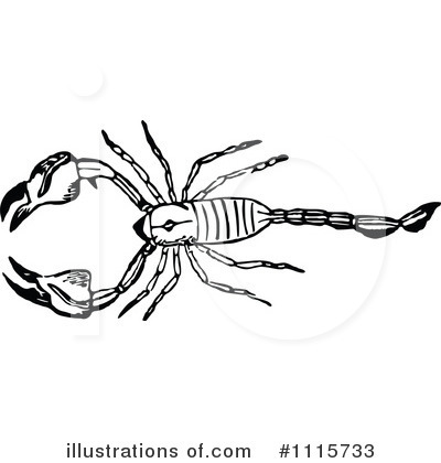 Royalty-Free (RF) Scorpion Clipart Illustration by Prawny Vintage - Stock Sample #1115733