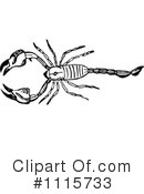 Scorpion Clipart #1115733 by Prawny Vintage