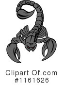 Scorpion Clipart #1161626 by Vector Tradition SM