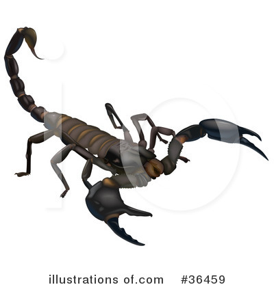 Royalty-Free (RF) Scorpion Clipart Illustration by dero - Stock Sample #36459