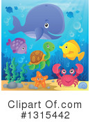 Sea Life Clipart #1315442 by visekart