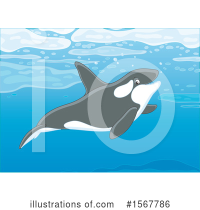 Orca Clipart #1567786 by Alex Bannykh