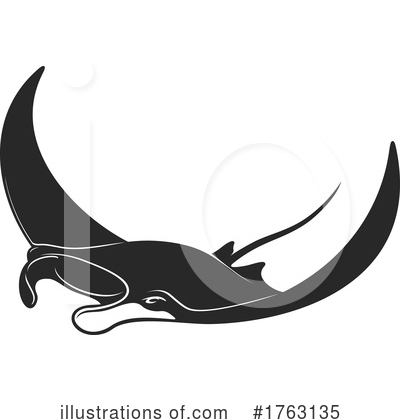 Sting Ray Clipart #1763135 by Vector Tradition SM