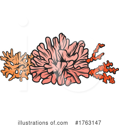 Coral Clipart #1763147 by Vector Tradition SM
