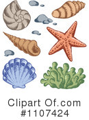 Sea Shells Clipart #1107424 by visekart