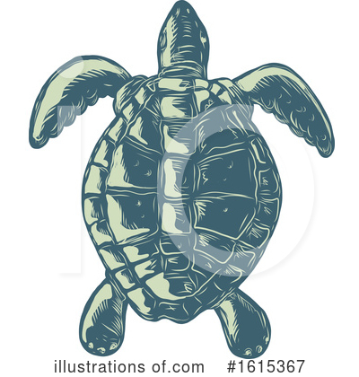 Sea Turtle Clipart #1615367 by patrimonio