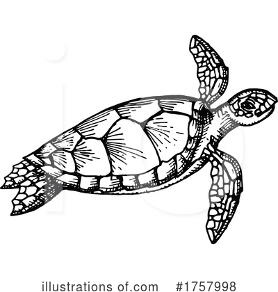 Sea Turtle Clipart #1757998 by Vector Tradition SM