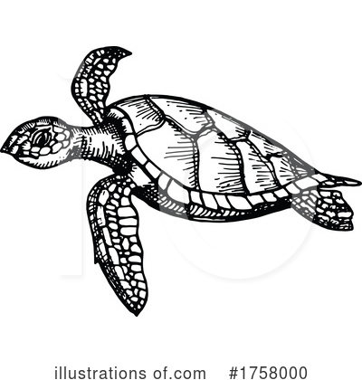 Turtle Clipart #1758000 by Vector Tradition SM
