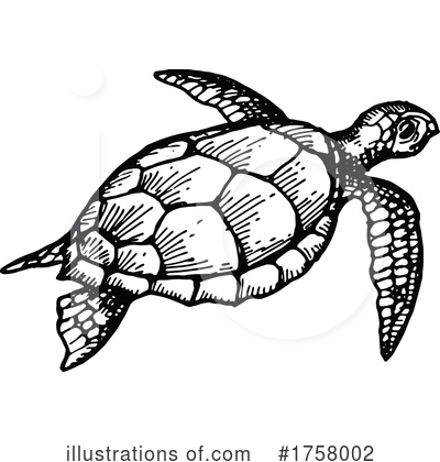 Sea Turtle Clipart #1758002 by Vector Tradition SM