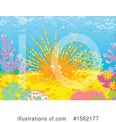 Sea Urchin Clipart #1562177 by Alex Bannykh