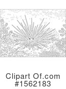 Sea Urchin Clipart #1562183 by Alex Bannykh