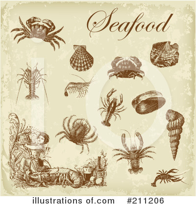 Shrimp Clipart #211206 by Eugene