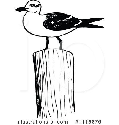 Royalty-Free (RF) Seagull Clipart Illustration by Prawny Vintage - Stock Sample #1116876