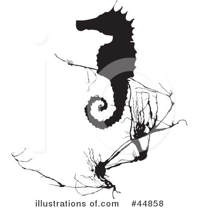 Seahorse Clipart #44858 by xunantunich