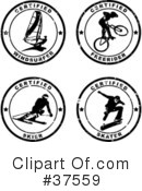 Seal Clipart #37559 by Eugene