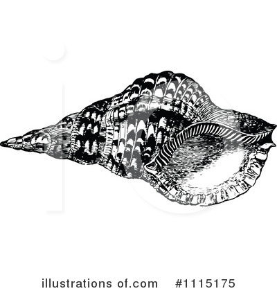 Sea Shell Clipart #1115175 by Prawny Vintage