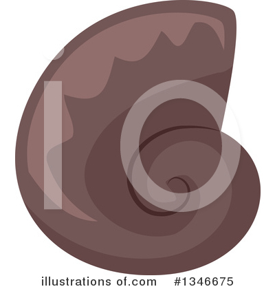 Shells Clipart #1346675 by BNP Design Studio