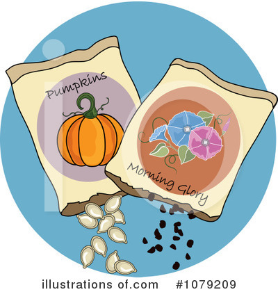 Pumpkin Seeds Clipart #1079209 by Pams Clipart