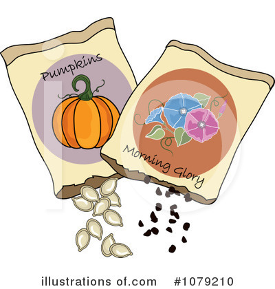 Pumpkin Seeds Clipart #1079210 by Pams Clipart