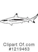 Shark Clipart #1219463 by dero
