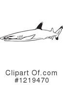 Shark Clipart #1219470 by dero