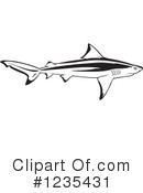 Shark Clipart #1235431 by dero